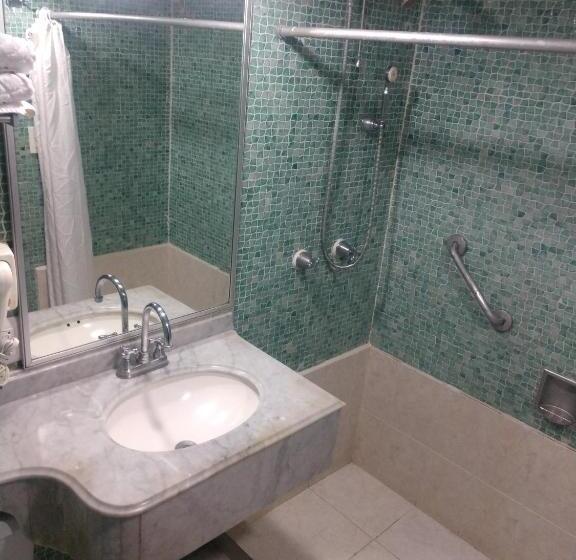 Fotos del hotel Maya Tabasco:  27
