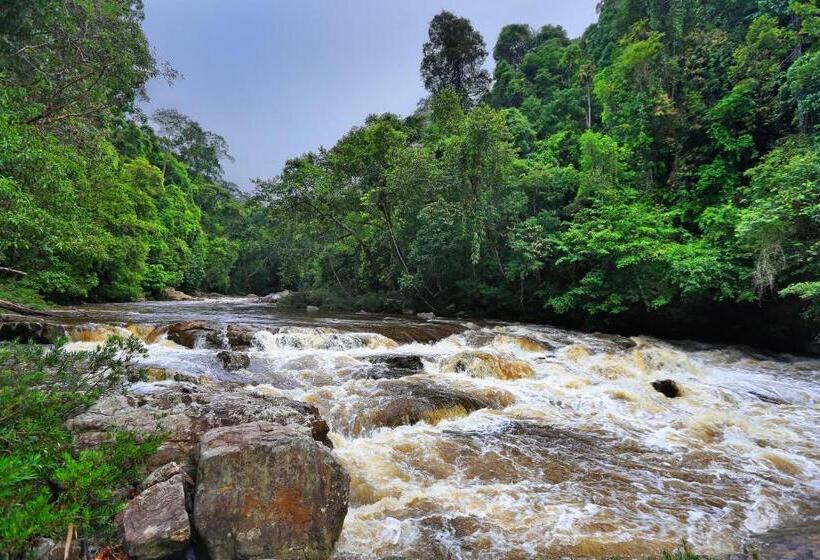 استراحتگاه Mutiara Taman Negara