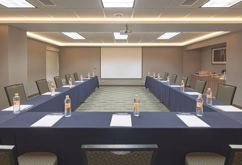 Fotos del hotel Hampton By Hilton Monterrey Galerías:  41