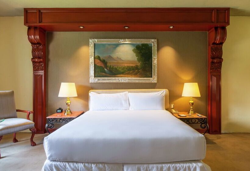 هتل Hilton San Luis Potosi