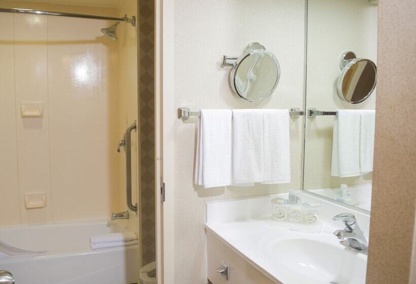 Fotos del hotel Holiday Inn Express Monterrey Galeriassan Jeronimo, An Ihg:  6