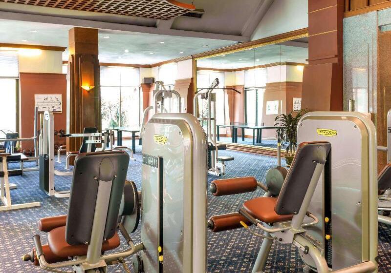 هتل Mercure Mandalay Hill Resort