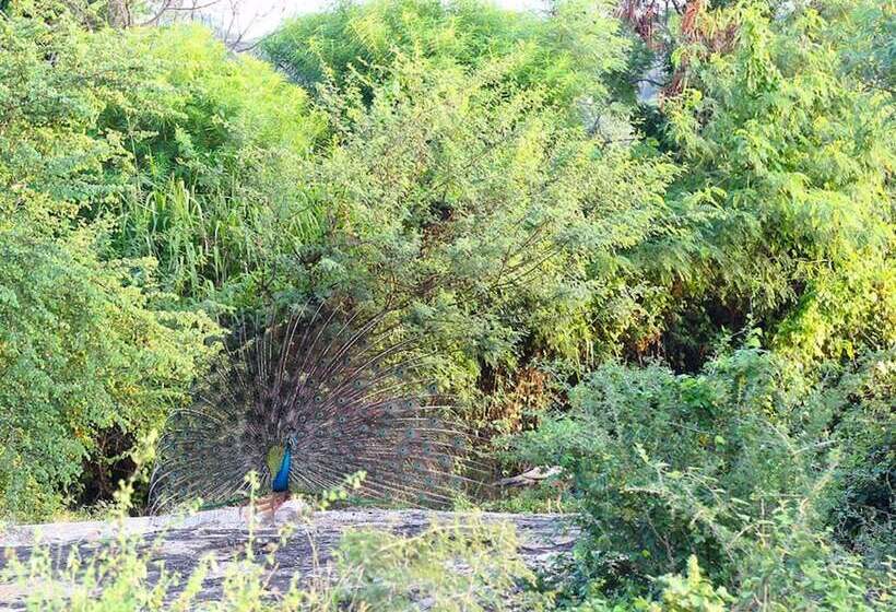 هتل Best Life Eco Resort Mattala