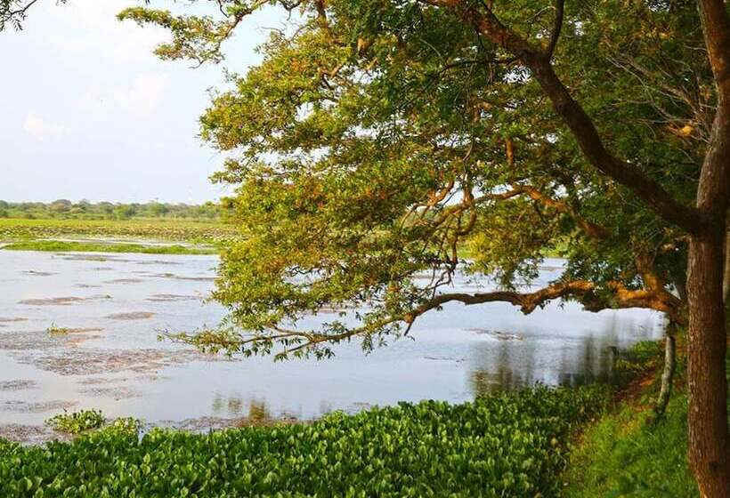 هتل Best Life Eco Resort Mattala