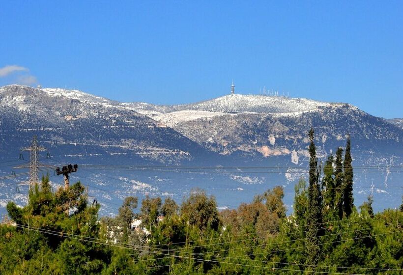 Cavallari Palace Hotel Suites