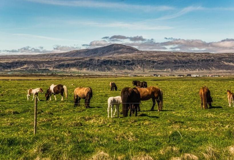 پانسیون Reykjadalur Guesthouse