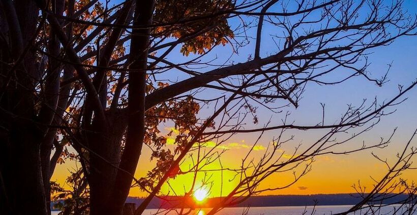 Sea Mist Waterfront B&b