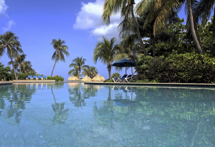 Dreams Curacao Resort, Spa & Casino   All Inclusive