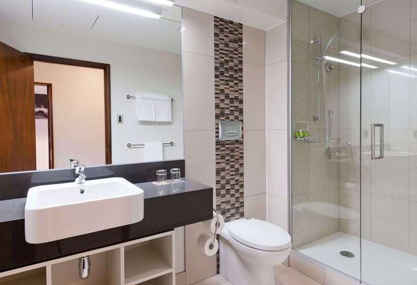 Fotos del hotel Scenic Hotel Franz Josef Glacier:  21