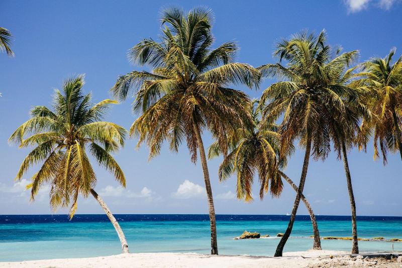 هتل The Liming Bequia