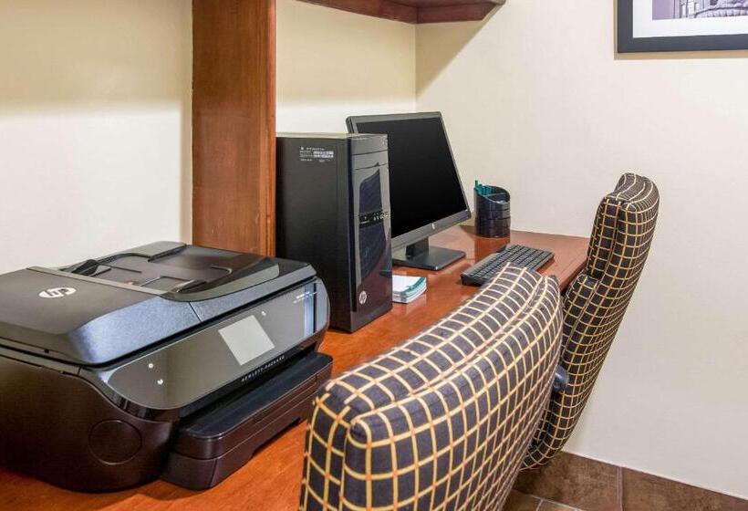 호텔 Quality Inn & Suites