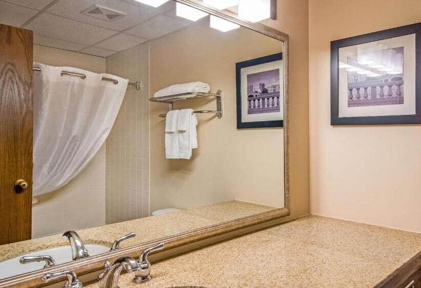 호텔 Quality Inn & Suites