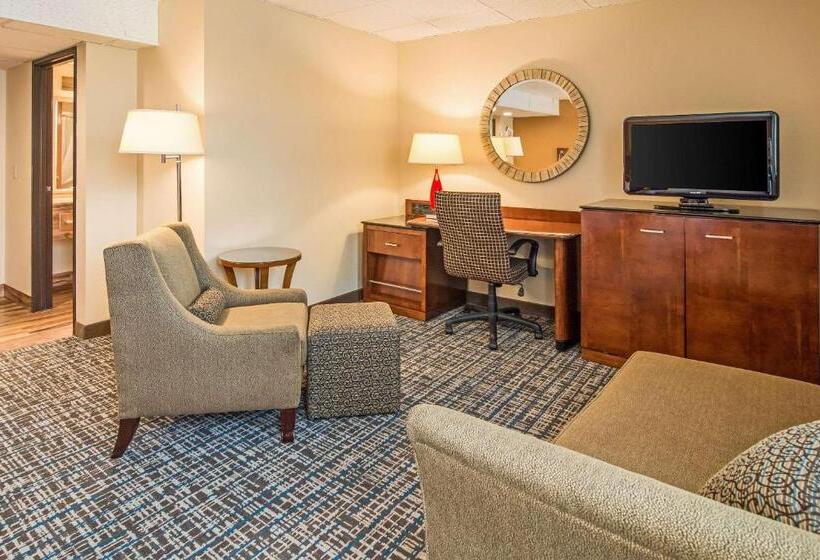 호텔 Quality Inn & Suites