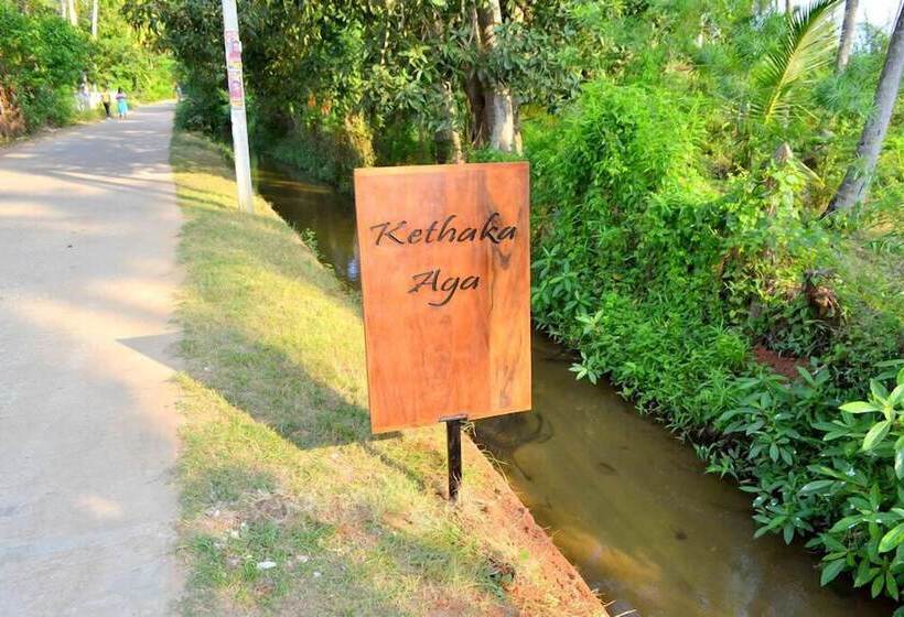 پانسیون Kethaka Aga