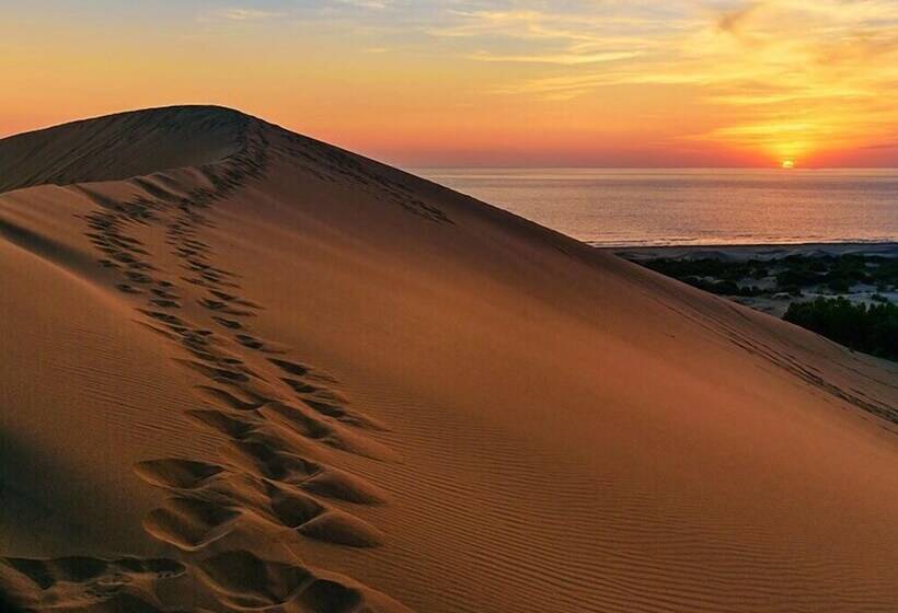 هتل Patara Ince