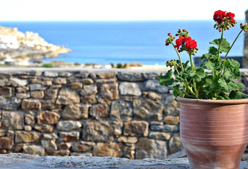 Livadi House Mykonos