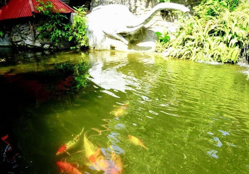 استراحتگاه Starbay Samui
