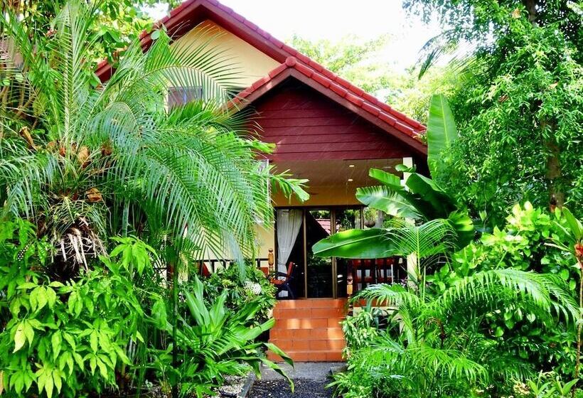 استراحتگاه Starbay Samui