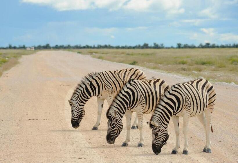 هتل Etosha Village