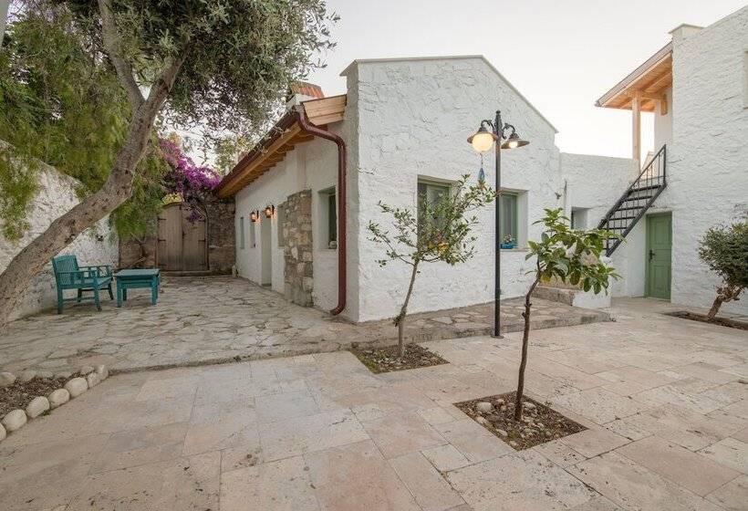 هتل Kaya Guest House