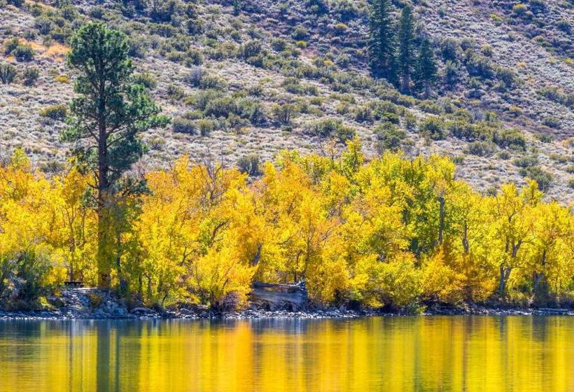 June Lake Motel