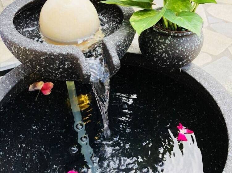 هتل Youngs Hotspring