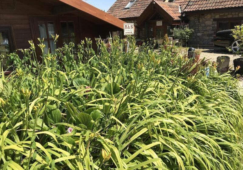 פנסיון Bridge Farm Guesthouse Rooms