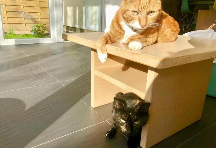 تختخواب و صبحانه Laurels