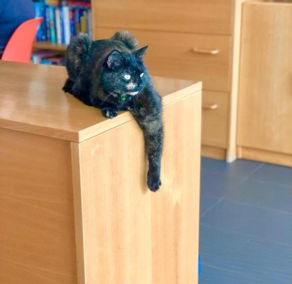 تختخواب و صبحانه Laurels