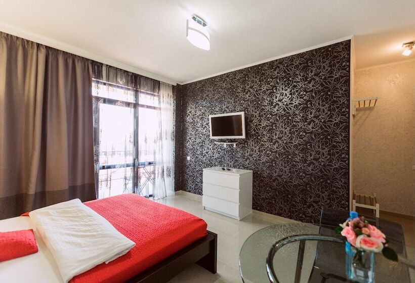 酒店 Amosov S House