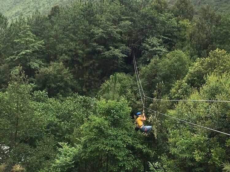 پانسیون Wei Island Farm&art Guesthouse