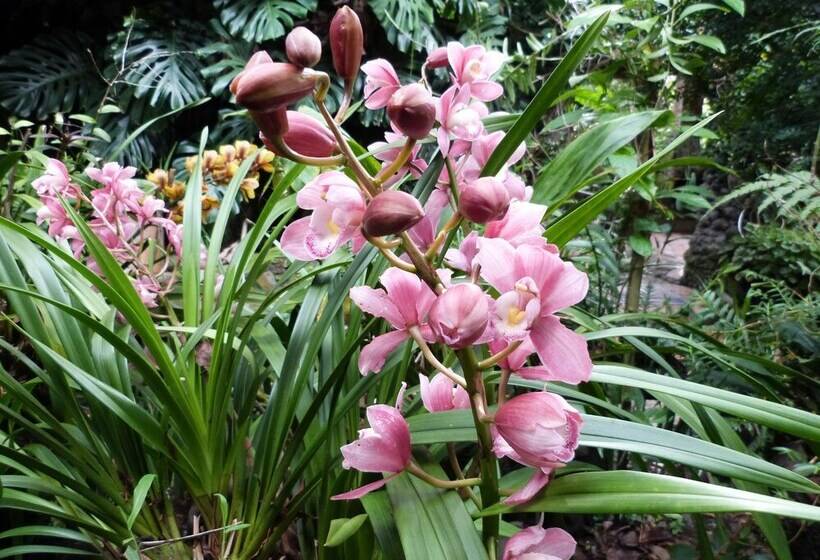 مسافرخانه Isla De Baños Hosteria Y Spa