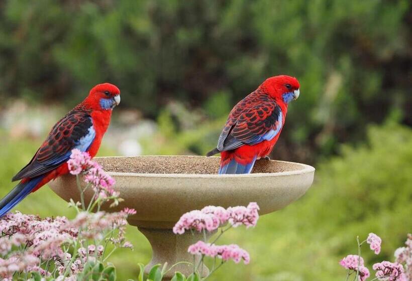 Emu Bay Holiday Homes