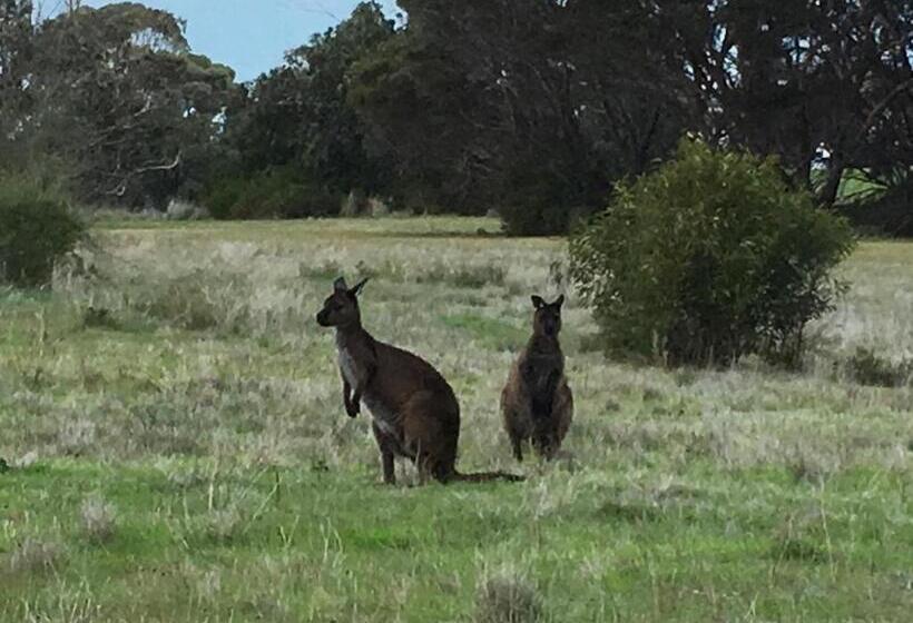Emu Bay Holiday Homes