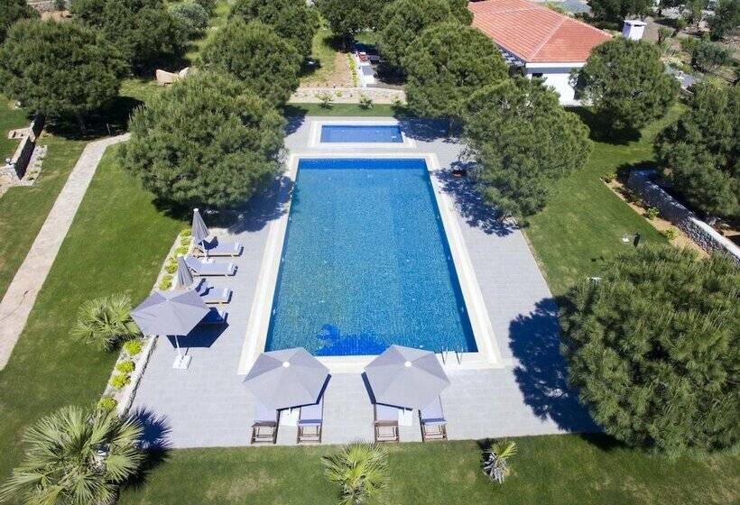 هتل Casa Elia