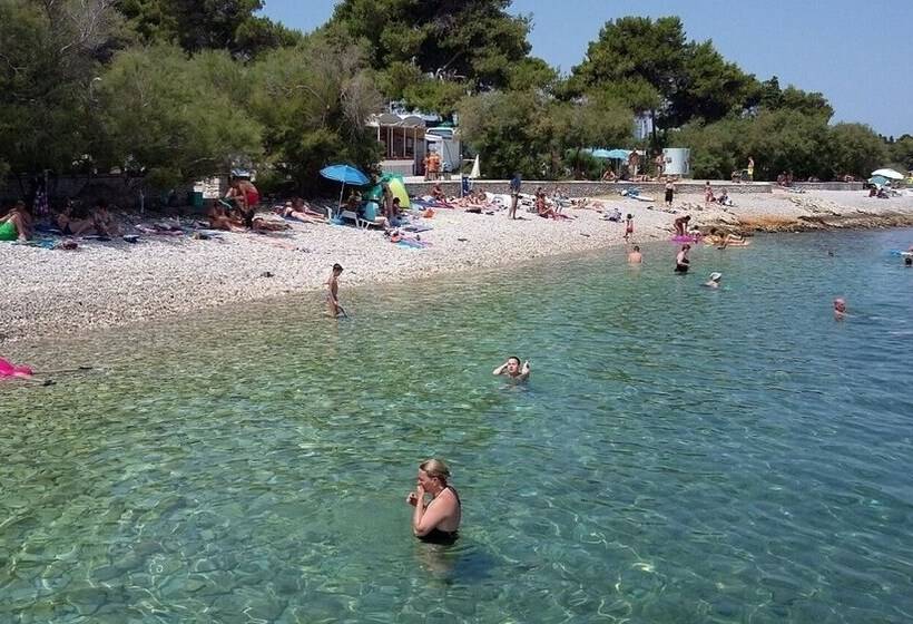 Apartments Adel   70 M From Beach