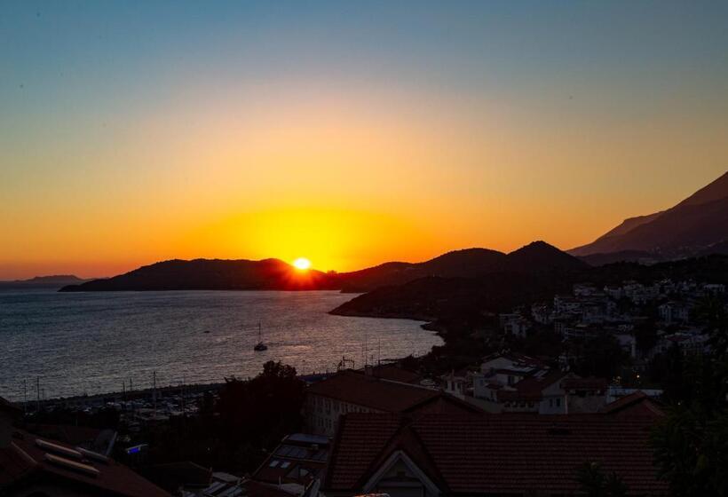 Cedrus Suites