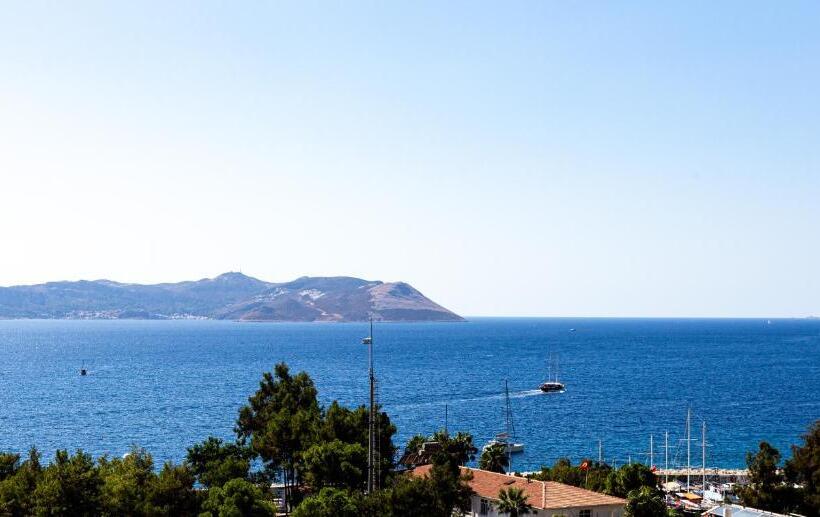 Cedrus Suites
