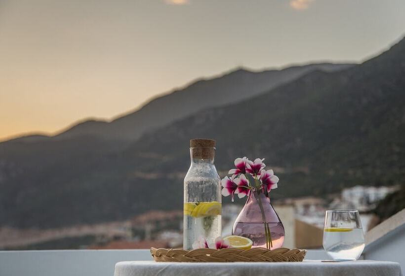 Cedrus Suites