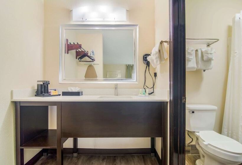 酒店 Quality Inn & Suites
