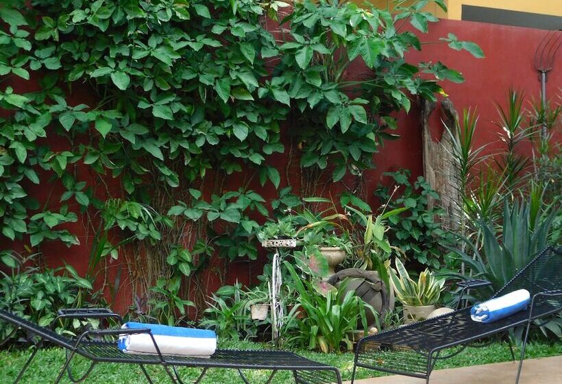 تختخواب و صبحانه Boutique Casa Flor De Mayo