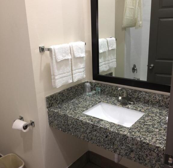 فندق Americas Best Value Lnn  Plaquemine