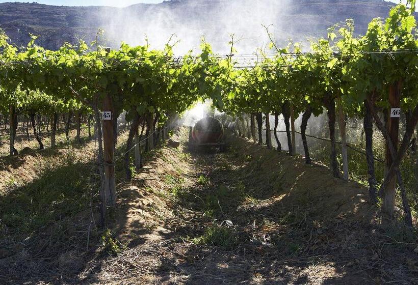 בית מלון כפרי Simbavati Cederberg Ridge