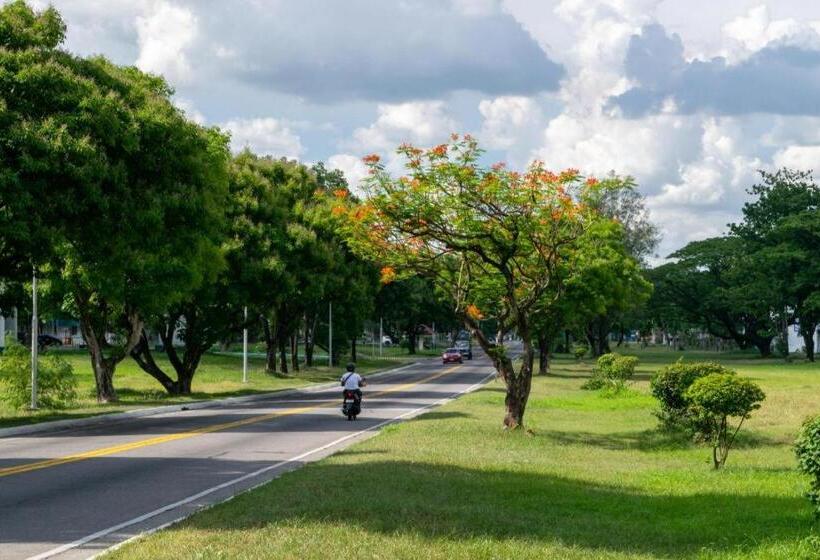 هتل Dianne Gardens