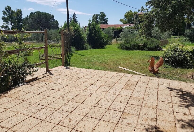 교외 호텔 Agriturismo Bio Fattoria Di Pietra