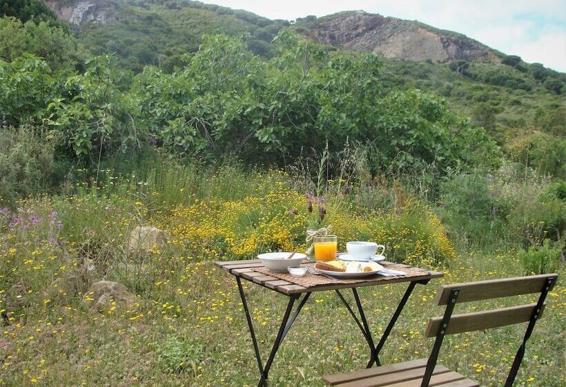 هتل روستایی Biovilla Sustentabilidade