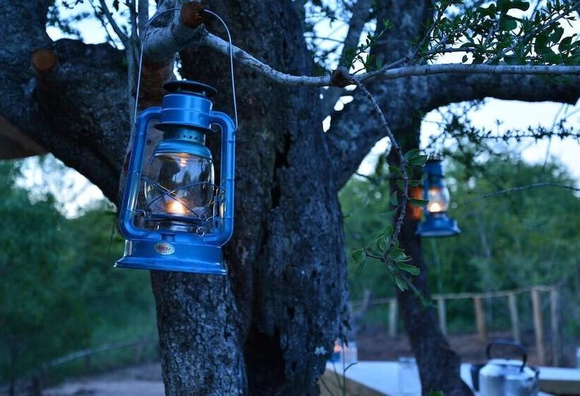 هتل Wild Olive Tree Camp