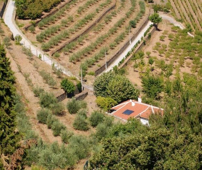 Villa With 3 Bedrooms In Torre De Moncorvo, With Wonderful Mountain View, Pool Access And Enclosed G