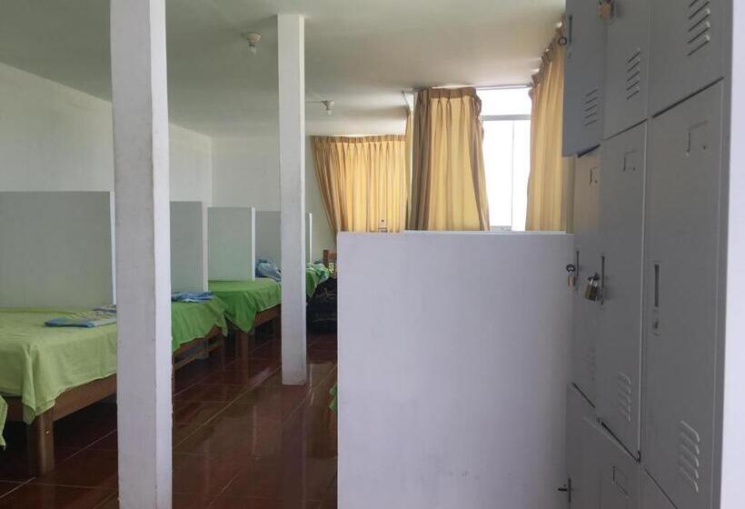 هاستل Paracas Backpackers House