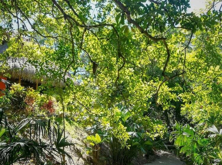 تختخواب و صبحانه Ecohabs Bosques Del Tayrona